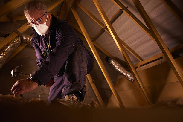 Best Geographic-Specific Insulation Services in Baxley, GA