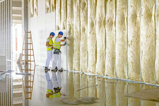 Best DIY Insulation Kits and Guidance in Baxley, GA
